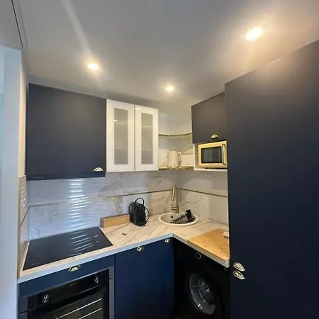 Moon - 44 公寓 尼斯